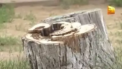 Zakon.kz, фото - Новости Zakon.kz от 29.05.2015 14:55