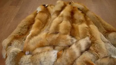 Zakon.kz, фото - Новости Zakon.kz от 24.02.2016 16:44