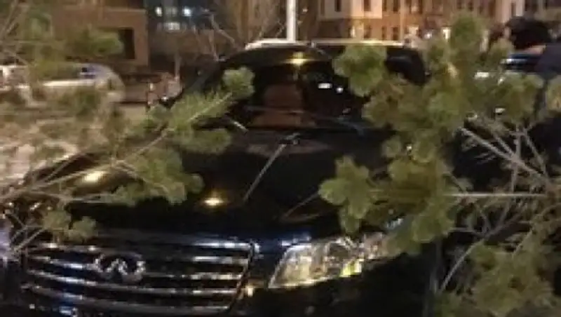 Законно ли выдали права водителю Infiniti, сбившему трех девушек