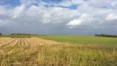 pxhere.com, фото - Новости Zakon.kz от 29.04.2021 19:04