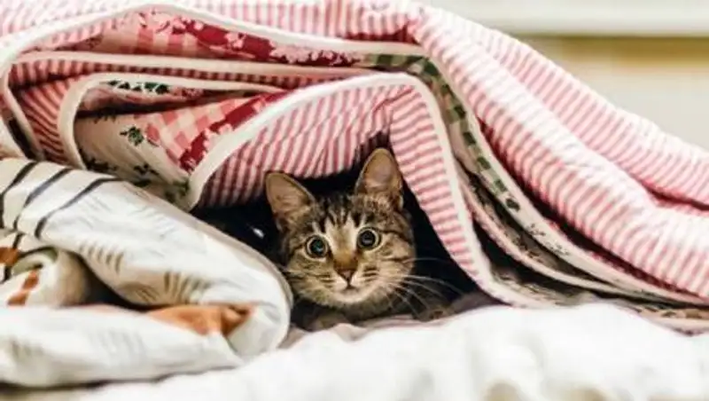 В Казахстане похолодает