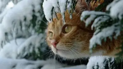 Vgorode.ua, фото - Новости Zakon.kz от 25.02.2019 09:12