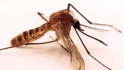 Zakon.kz, фото - Новости Zakon.kz от 29.06.2016 23:02