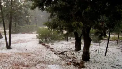 Мокрый снег, сильная жара: прогноз погоды в Казахстане на 15 августа , фото - Новости Zakon.kz от 14.08.2023 16:41