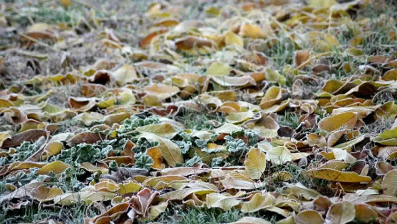 О погоде 17 ноября рассказали синоптики