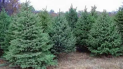 Zakon.kz, фото - Новости Zakon.kz от 18.12.2014 19:43