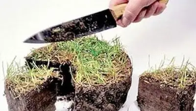 Zakon.kz, фото - Новости Zakon.kz от 26.01.2014 17:17