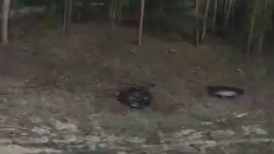 Версию поджога, как причины пожара в Абайской области, рассматривает следствие, фото - Новости Zakon.kz от 12.06.2023 13:39