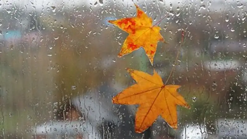 В пяти областях Казахстана ожидаются заморозки