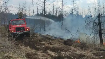 Пять вертолетов тушат лесной пожар в Абайской области, фото - Новости Zakon.kz от 24.05.2023 16:00