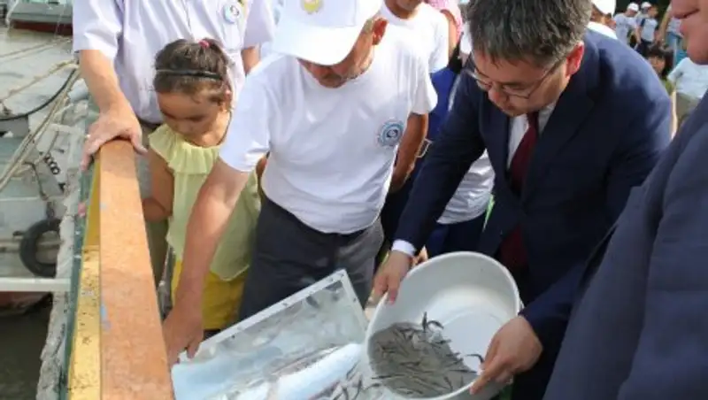 20 тысяч мальков севрюги выпустили в честь Дня рыбака в Атырау