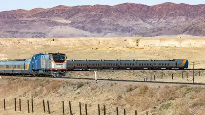 животное в тамбуре, фото - Новости Zakon.kz от 10.08.2022 16:52