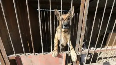 zakon.kz / Павел Михеев, фото - Новости Zakon.kz от 07.08.2021 14:02