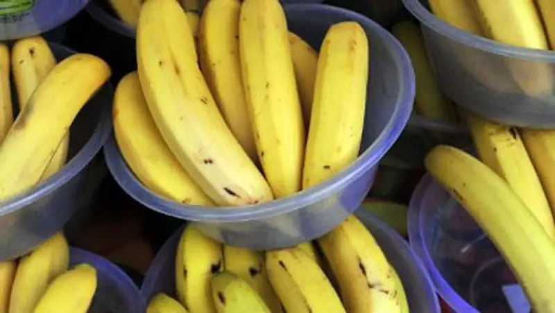 В Португалии в коробках из-под бананов нашли кокаин