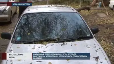 Zakon.kz, фото - Новости Zakon.kz от 20.10.2016 04:36