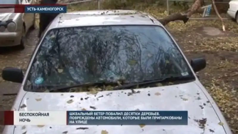 В Усть-Каменогорске шквальный ветер повалил деревья и повредил автомобили