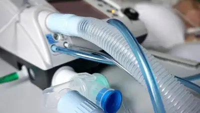 depositphotos, фото - Новости Zakon.kz от 01.09.2020 18:33