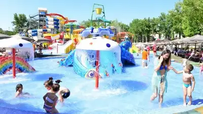 Береке Сейтжаппаров, фото - Новости Zakon.kz от 17.06.2018 19:15