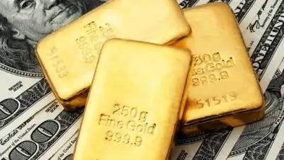 Zakon.kz, фото - Новости Zakon.kz от 16.03.2017 17:46