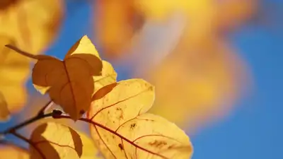Когда в Казахстане наступит осень, фото - Новости Zakon.kz от 31.08.2023 19:37