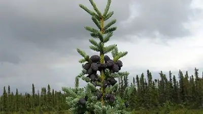 Zakon.kz, фото - Новости Zakon.kz от 19.06.2016 16:25