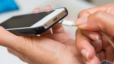 © Fotolia / chachanit, фото - Новости Zakon.kz от 22.07.2018 09:11