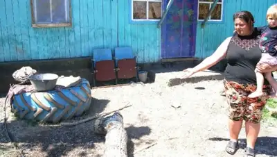 Zakon.kz, фото - Новости Zakon.kz от 05.07.2015 06:39