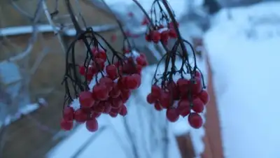 Zakon.kz, фото - Новости Zakon.kz от 24.02.2015 14:58