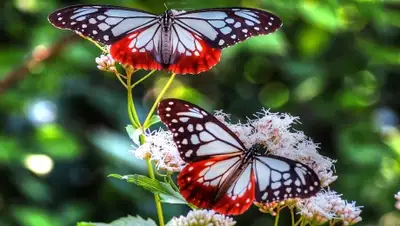 Zakon.kz, фото - Новости Zakon.kz от 24.05.2016 15:48