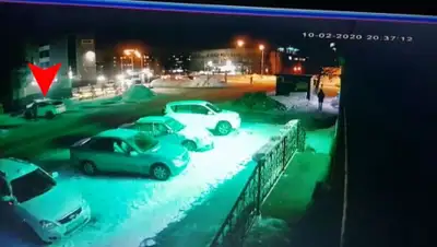 кадр видео, фото - Новости Zakon.kz от 14.02.2020 16:03