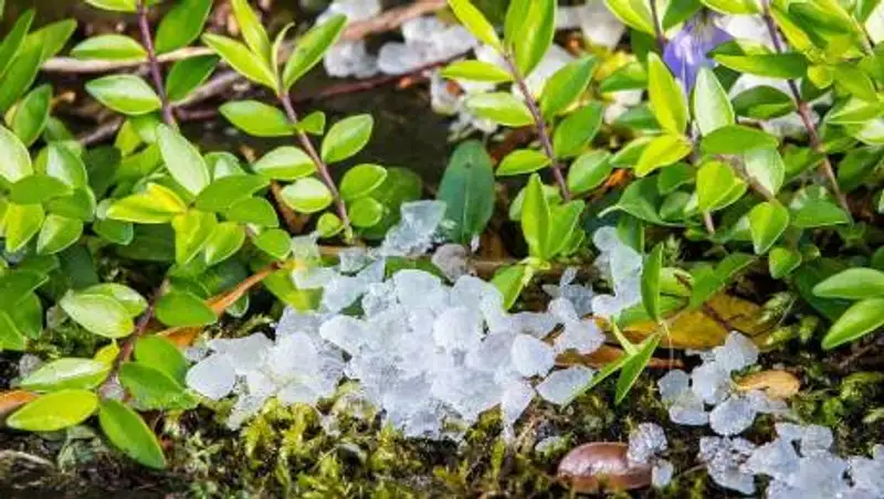 Град ожидается в Казахстане