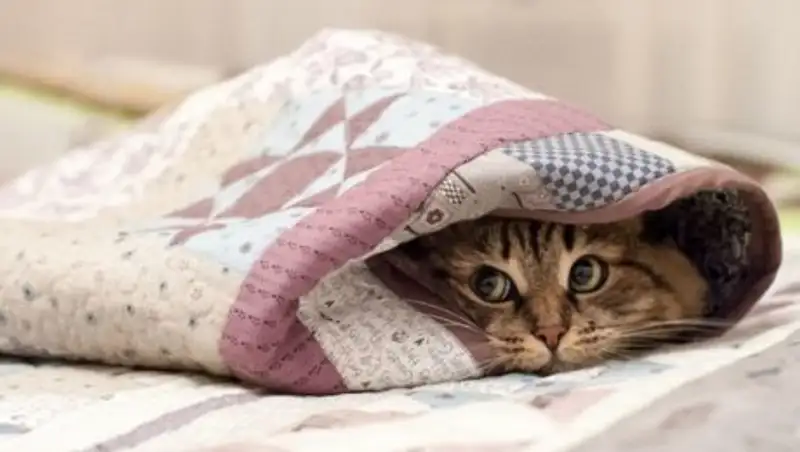 Воскресенье в Казахстане будет морозным