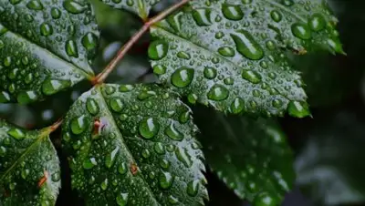 Zakon.kz, фото - Новости Zakon.kz от 10.08.2016 12:00