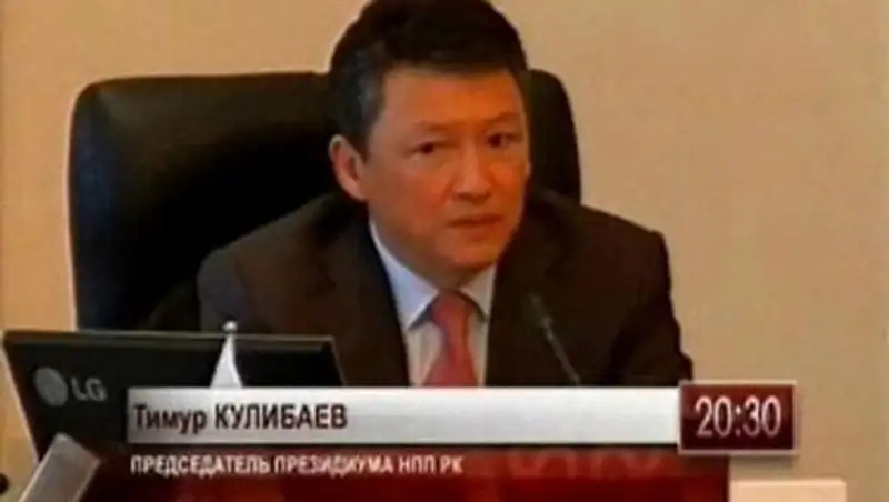 Тимур Кулибаев: Бизнесмены должны активнее участвовать в обсуждении госпрограмм