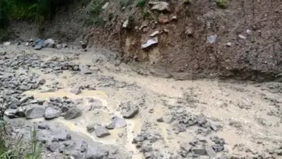 Zakon.kz, фото - Новости Zakon.kz от 10.07.2017 22:35