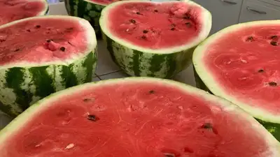 Казахстан Астана арбузы, фото - Новости Zakon.kz от 04.08.2023 18:12