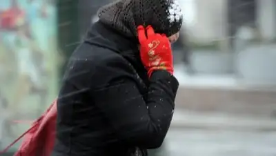 Zakon.kz, фото - Новости Zakon.kz от 07.12.2015 07:04