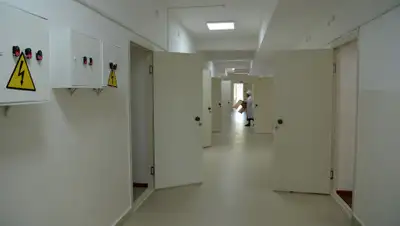 elet.media, фото - Новости Zakon.kz от 14.02.2020 14:20