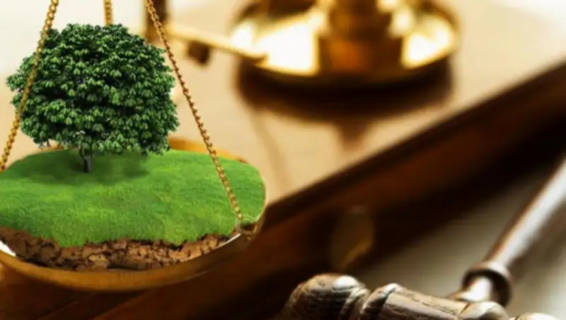 Сотрудника акимата Шымкента обвиняют в том, что он отнял землю у школы