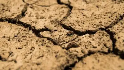 pixabay.com, фото - Новости Zakon.kz от 15.07.2021 06:31