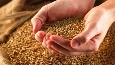 Zakon.kz, фото - Новости Zakon.kz от 08.08.2015 18:02