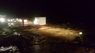 podrobno.uz, фото - Новости Zakon.kz от 14.05.2020 12:13