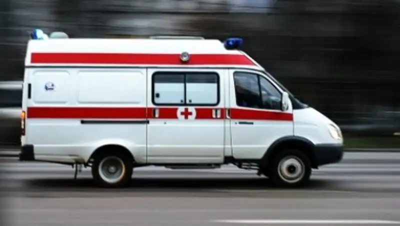 В Шымкенте на мусорном полигоне нашли тело младенца