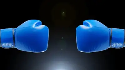 pixabay.com, фото - Новости Zakon.kz от 13.02.2019 00:40