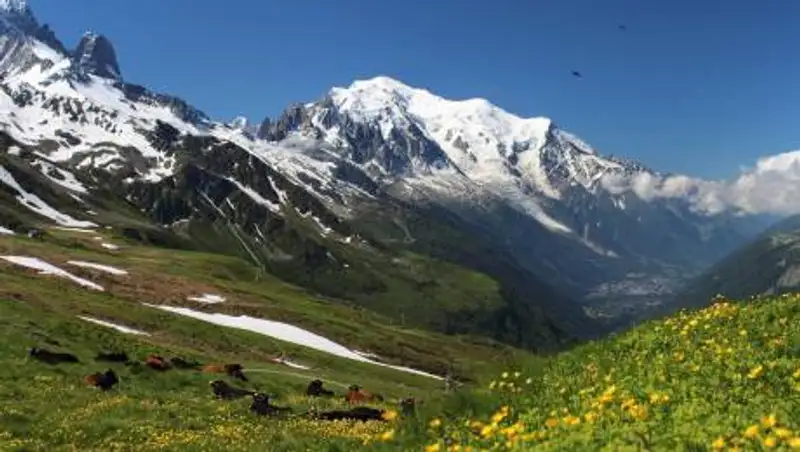 Высочайшая гора Европы стала ниже