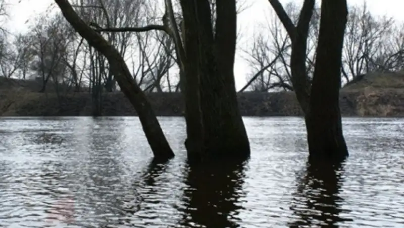 На реках юга Казахстана ожидается формирование паводков