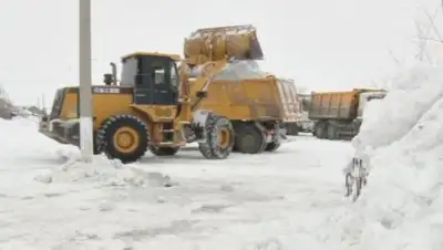 Zakon.kz, фото - Новости Zakon.kz от 10.03.2017 21:32