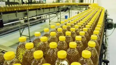 kursiv.kz, фото - Новости Zakon.kz от 29.11.2017 10:41