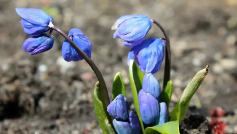 Какая погода ожидает казахстанцев в марте
