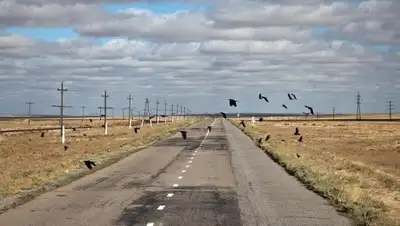 Zakon.kz, фото - Новости Zakon.kz от 03.06.2015 16:18